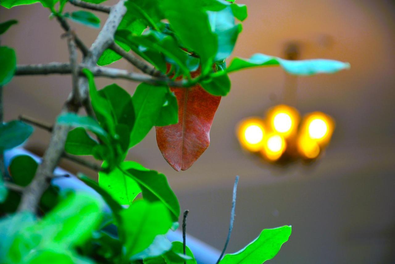 Yellow Homestay - Modern 2Bhk Ac Stay Jabalpur Buitenkant foto